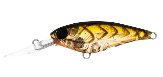 Daiwa Infeet Kodachi 40SF - TackleWest 