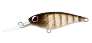 Daiwa Infeet Kodachi 40SF - TackleWest 