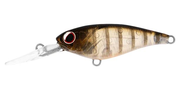 Daiwa Infeet Kodachi 40SF - TackleWest 