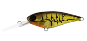 Daiwa Infeet Kodachi 40SF - TackleWest 
