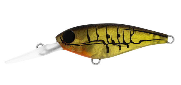 Daiwa Infeet Kodachi 40SF - TackleWest 