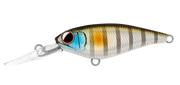 Daiwa Infeet Kodachi 40SF - TackleWest 