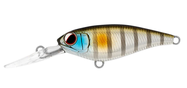 Daiwa Infeet Kodachi 40SF - TackleWest 