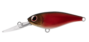 Daiwa Infeet Kodachi 40SF - TackleWest 
