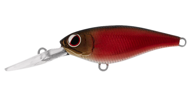 Daiwa Infeet Kodachi 40SF - TackleWest 
