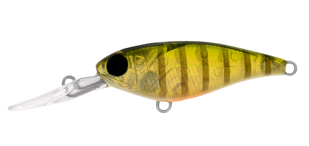 Daiwa Infeet Kodachi 40SF - TackleWest 