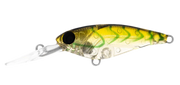 Daiwa Infeet Kodachi 40SF - TackleWest 
