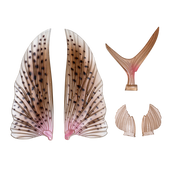 Nomad Slipstream Flying Fish Wing Pack 200 - Tackle West 
