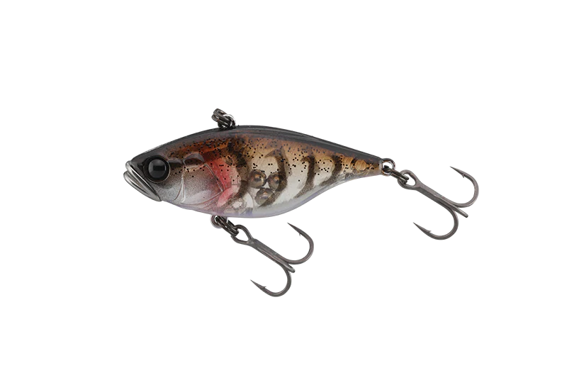 キリンの首Lチャコール Jackall TN38 Vibe – TackleWest