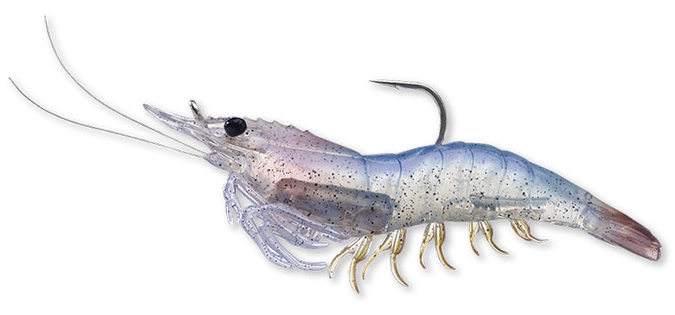 Live Target Shrimp – TackleWest