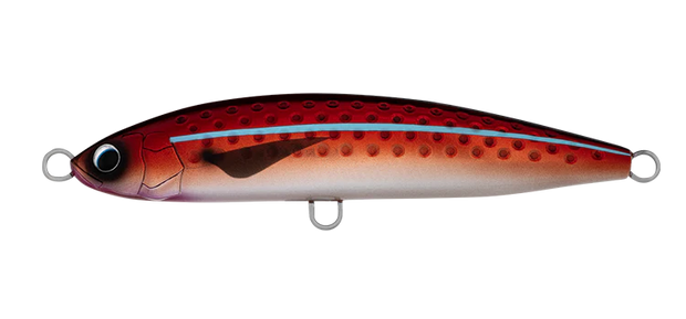 Daiwa Saltiga Rough Ride 160F