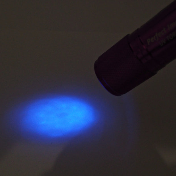 UV Torch - Tackle West 