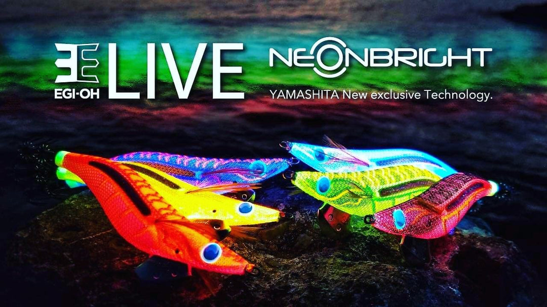 Yamashita Egi OH Live Neon Bright – TackleWest