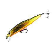 Zipbaits Rigge 70SP