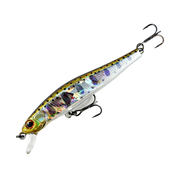 Zipbaits Rigge 70SP