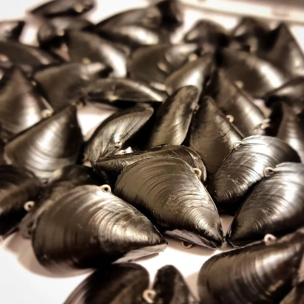 Blue Lip Baits Micro Mussel - Tackle West 
